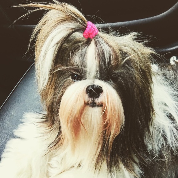 💋Meet The Posher💋 - Picture 13 of 16